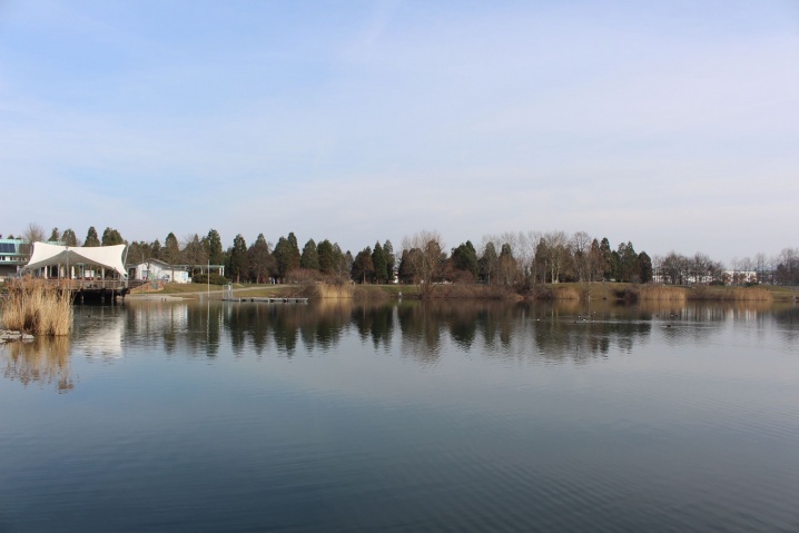 Flückigersee / Seepark